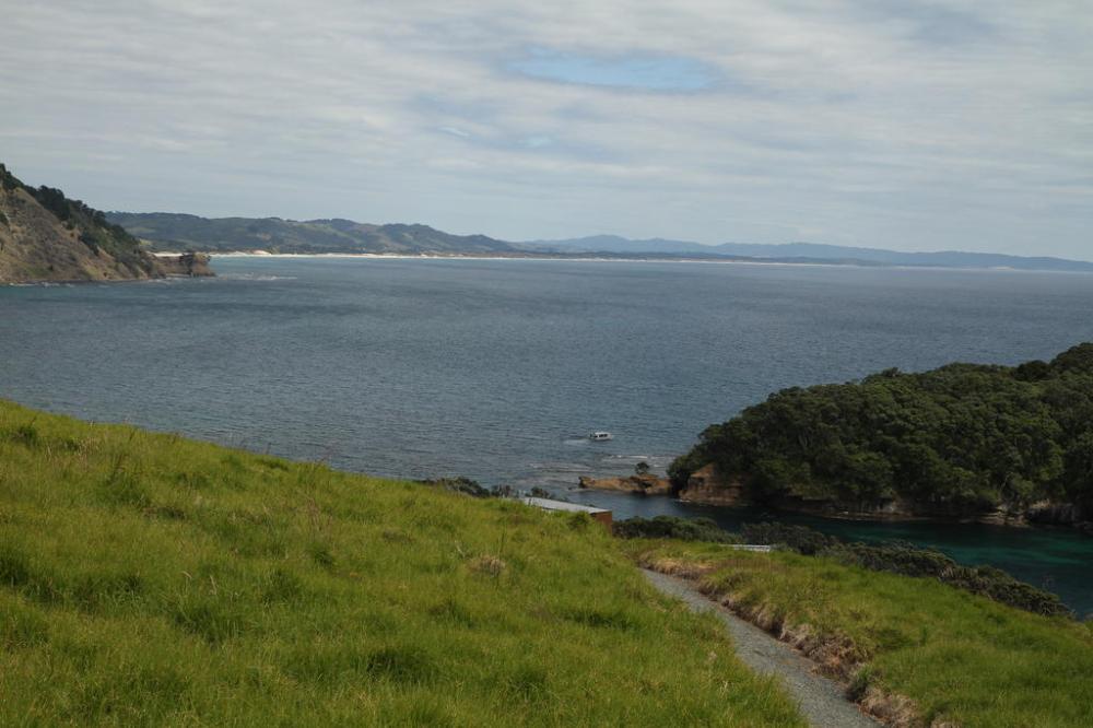 goats-island-marine-reservat
