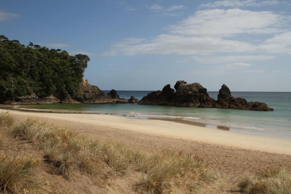 strand-hinter-whale-bay