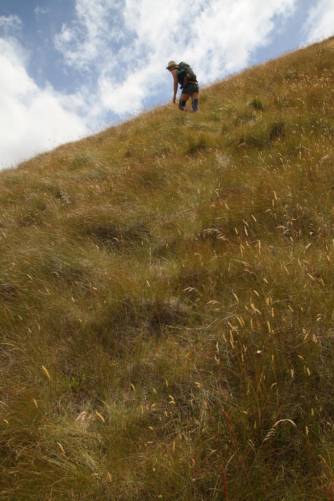 castle-hill-zweites-mal-4