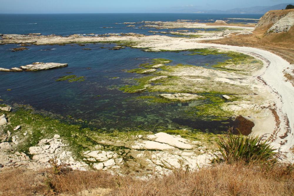 kaikoura-peninsula-1