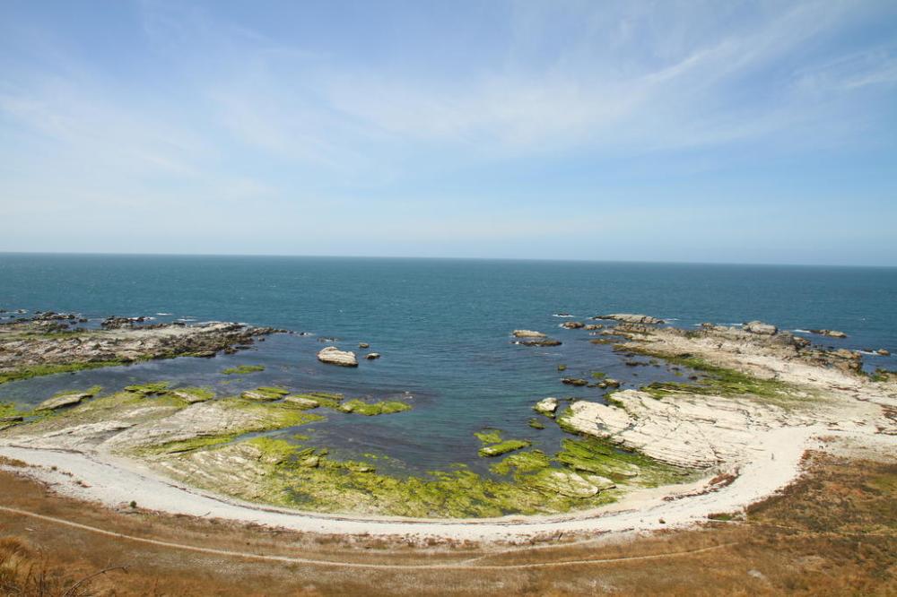 kaikoura-peninsula-2