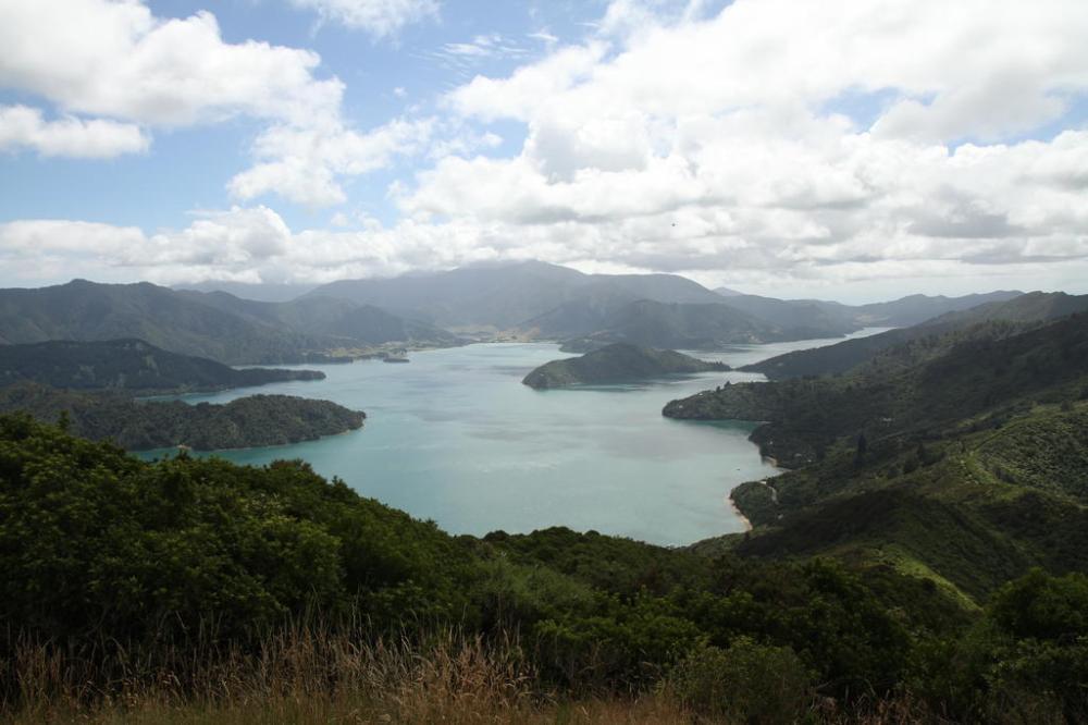 queen-charlotte-track1