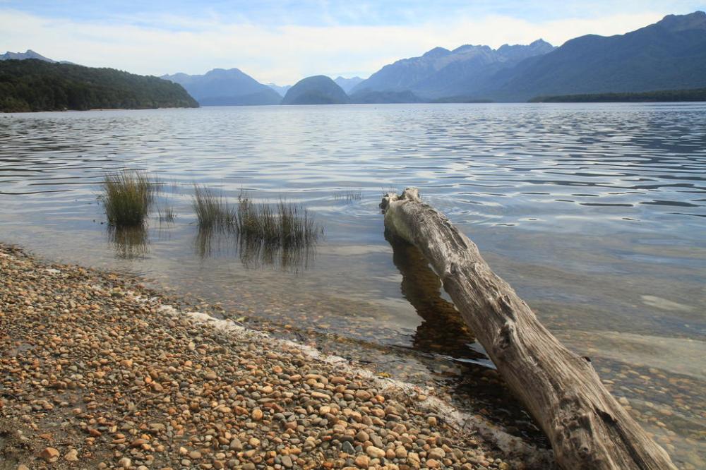 kepler-track-see-baum