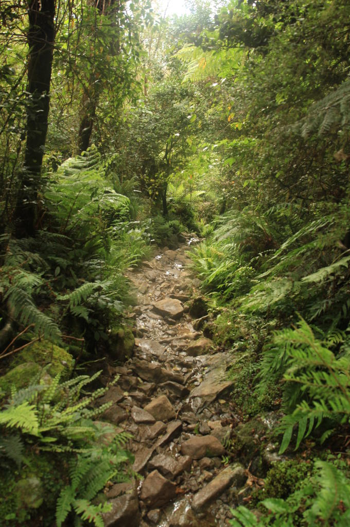 lake-marian-creek-or-track